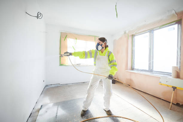 Best Ceiling Drywall Installation  in Eyota, MN